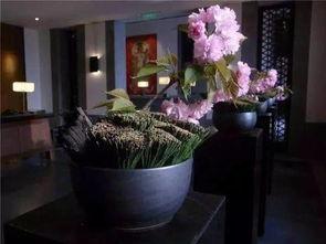 拈花惹草在线观看,一场浪漫邂逅的青春传奇